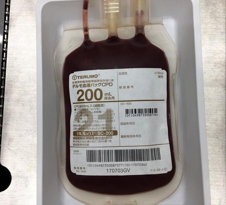 獣医師執筆】犬にも血液型がある？知識が輸血時の愛犬と周りの犬